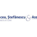 Duncea, Stefanescu logo